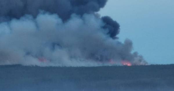 В Муйском районе Бурятии шестой день тушат крупный лесной пожар 