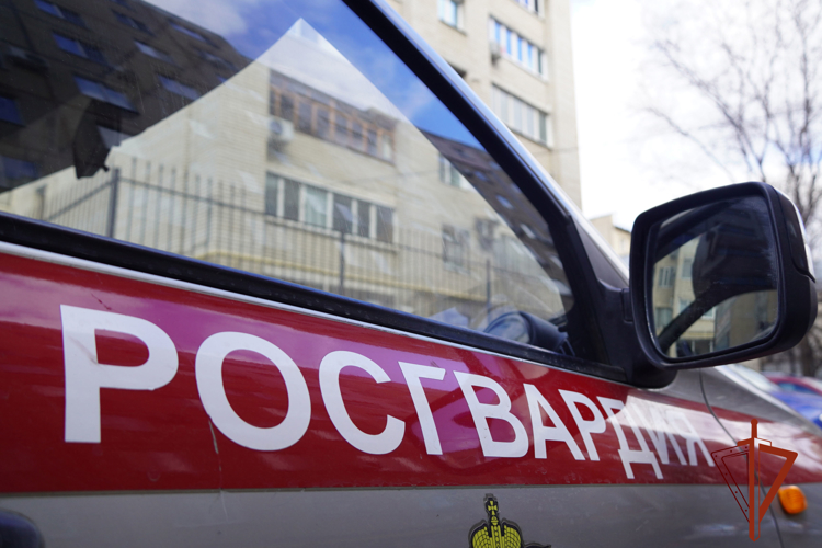 Росгвардейцы задержали разыскиваемого похитителя сыра и колбасы из торговой точки (ВИДЕО)