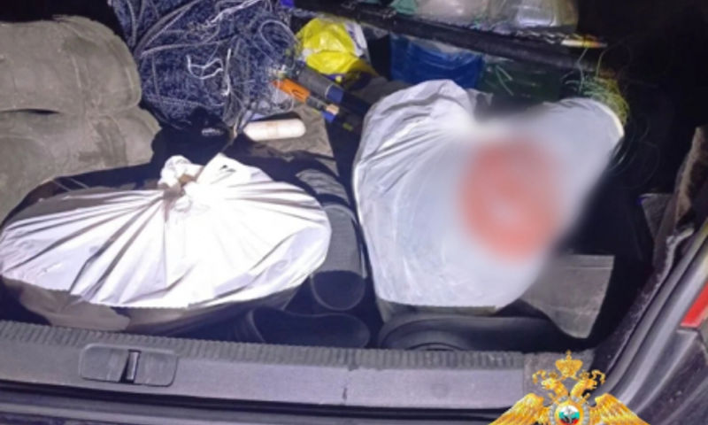 В Ярославской области поймали рыбаков во время незаконной ловли