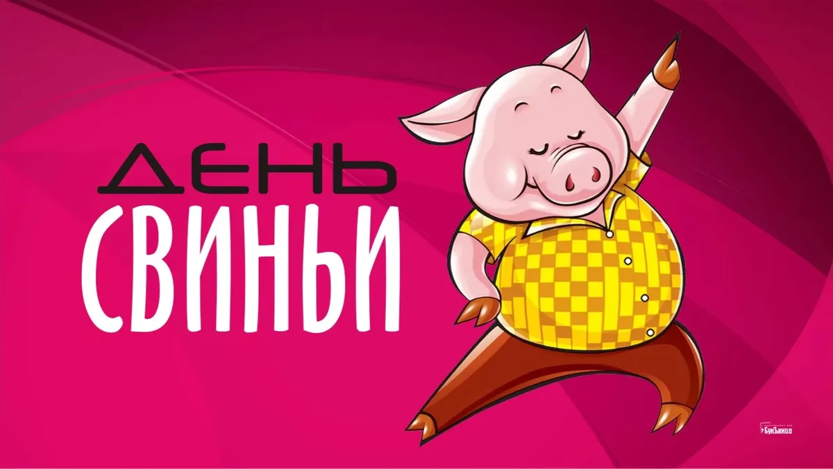 День свинок