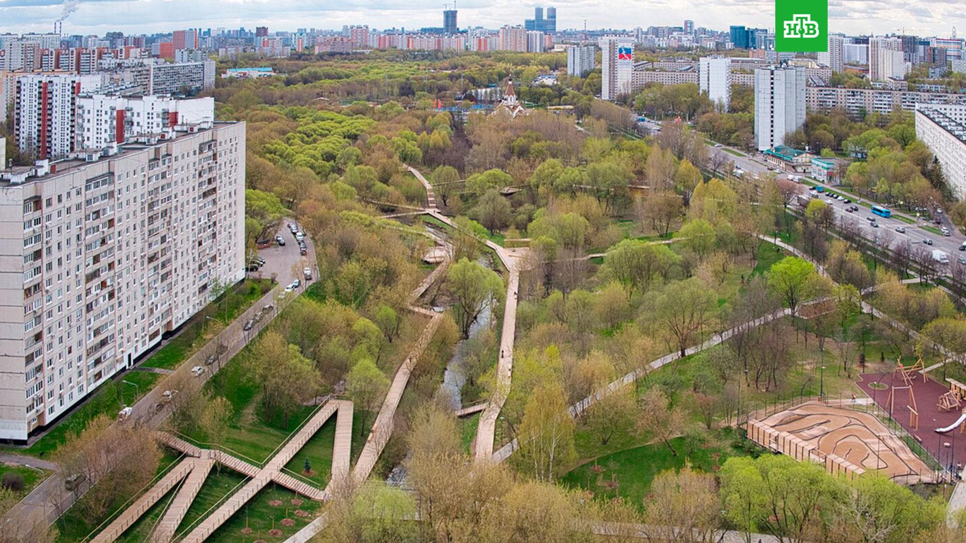 парк в северном медведково