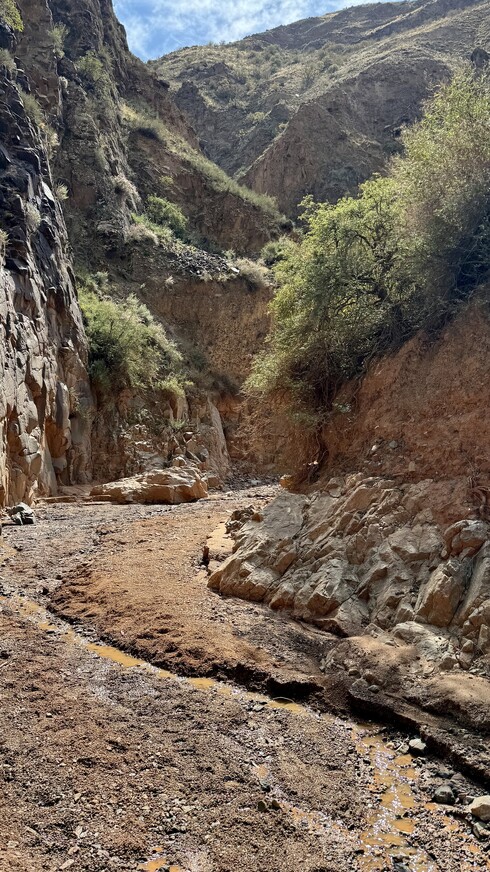 «Сказка» странствий