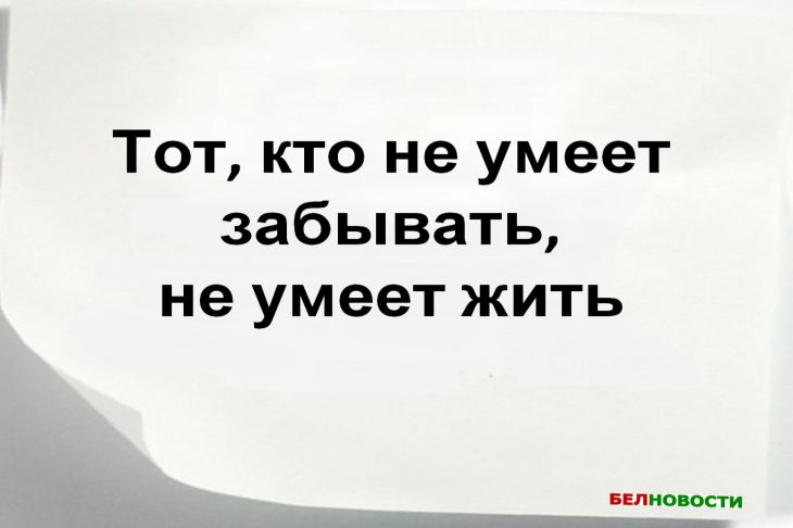 Цитата