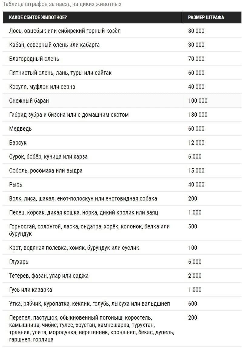 Штрафы за сбитых животных 2023. Таблица штрафов за сбитых животных. Будут дикие штрафы. Штрафы за сбитое животное 2022. Штраф за сбитое животное.