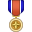 🎖️