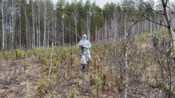 Для закладки вакцины ветеринары надевают экипировку — чтобы животных не напугал запах человека