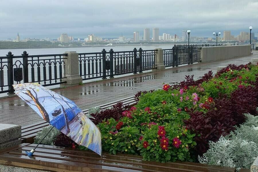 Фото осень дождь. С первым дождливым днем лета. 3 сентября дождь. Дождь в москве. 3 сентября дождь.