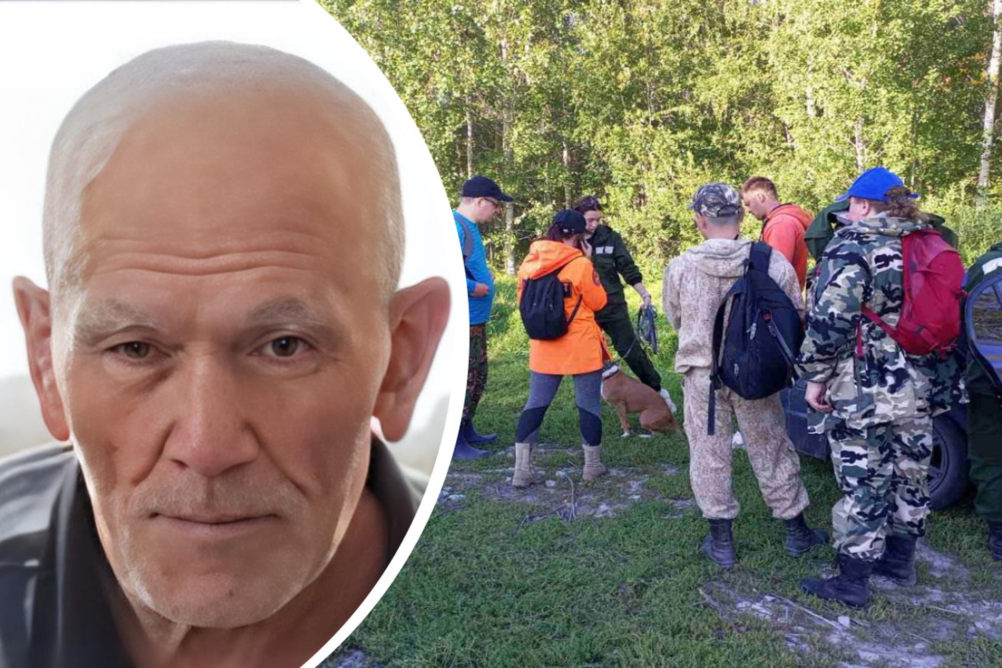 Бабушка потерялась в лесу. Ребенок потерялся. Последние новости о пропавшей пенсионерке под тобольском. Последние новости о пропавшей пенсионерке под тобольском. Последние новости о пропавшей пенсионерке под тобольском.