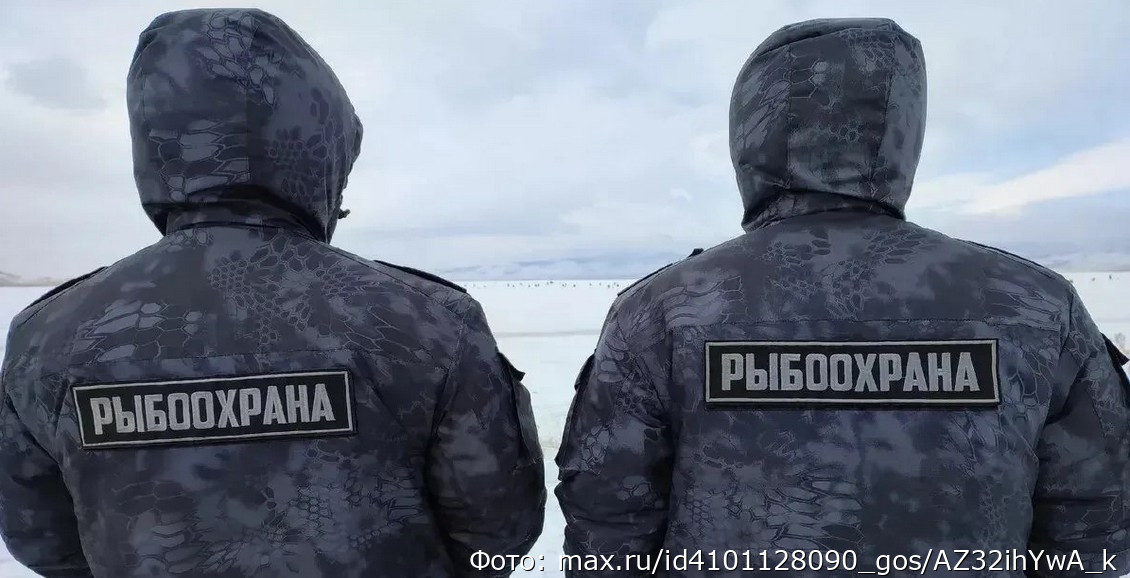 На Камчатке за неделю инспекторы рыбоохраны поймали более 60 нарушителей