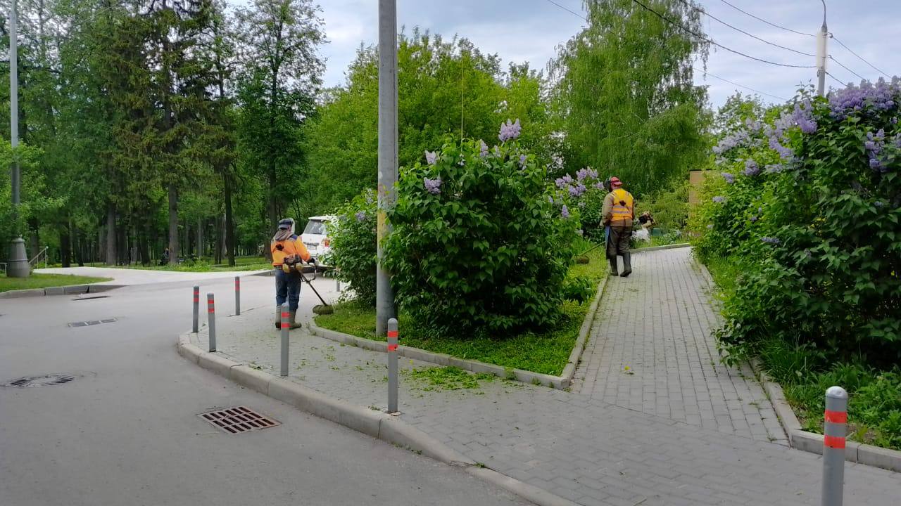 Продолжить территорию. Особо охраняемые природные территории. Провести оценку экологического состояния пришкольной территории. Практические рекомендации проекта. Территории наиболее благоприятные для сельского хозяйства.