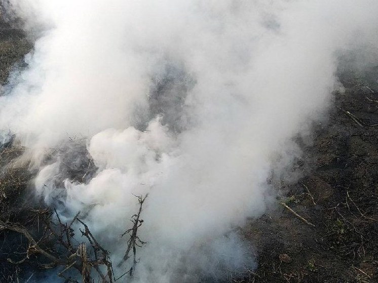 В Башкирии 15 районов попали в зону риска возникновения лесных пожаров