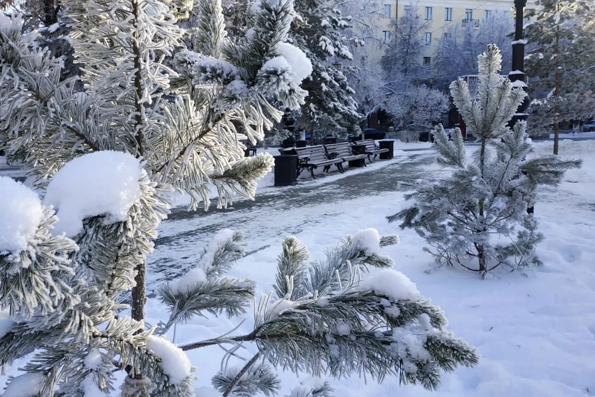 Башкирию завалит снегом в первую неделю января