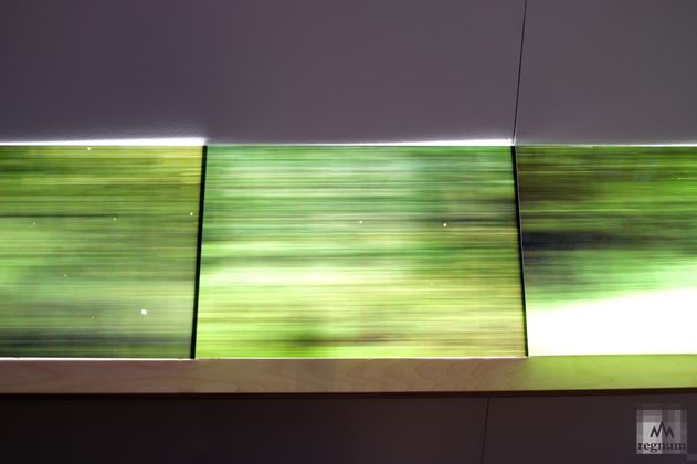 Владислав Ефимов. «Вокруг леса»