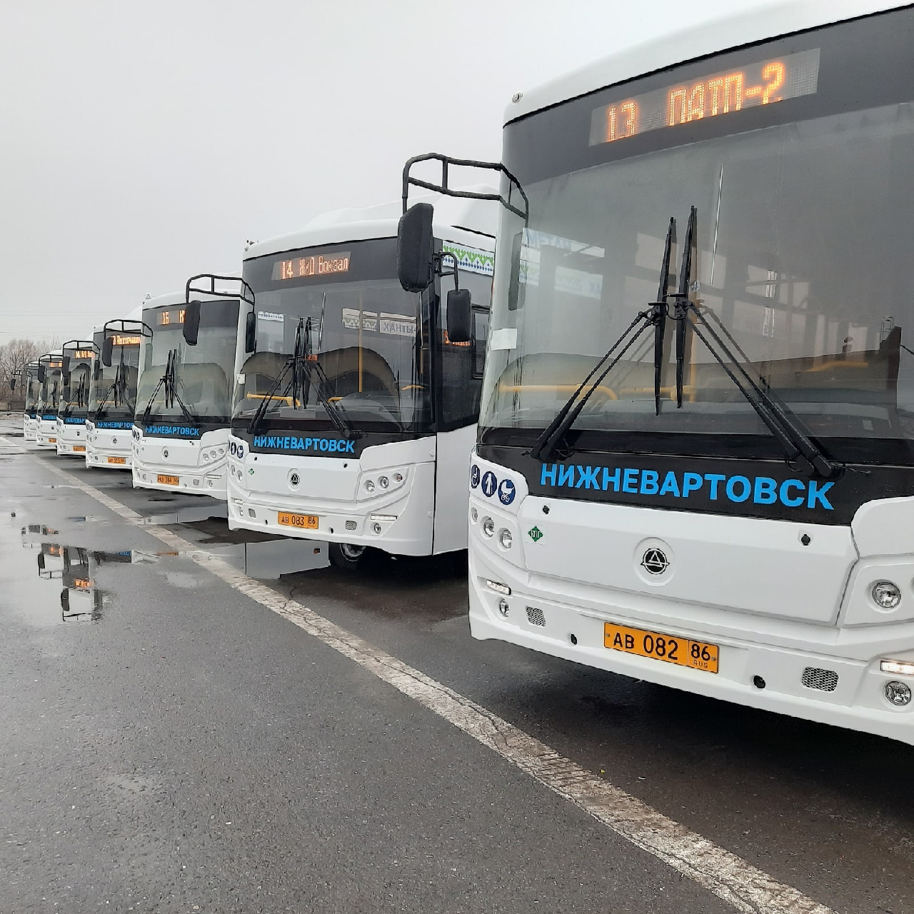 Автобус нижневартовск. Автобусный парк. Новые автобусы в Нижневартовске. Автобус ГАЗ. Газовый автобус.