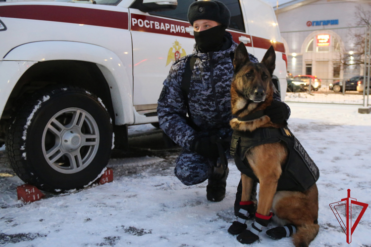 Подразделения Росгвардии обеспечили правопорядок при проведении хоккейного матча «СКА» - «Адмирал»