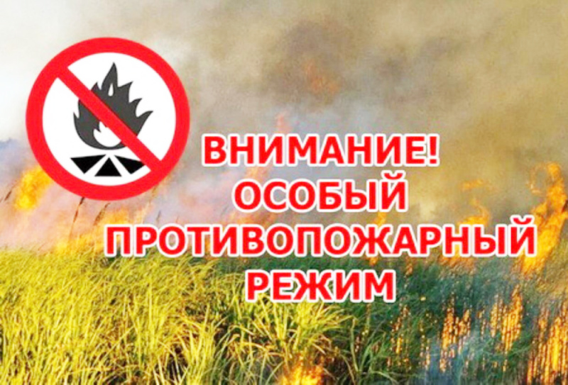 С 22 апреля по 12 мая на территории Татарстана вводится особый противопожарный режим