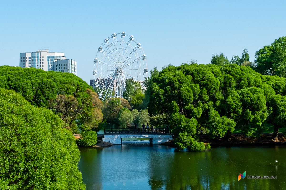 Парк у цирка киров. М. Парк им кирова в кирове. Пруд у цирка киров. Парк кирова у пруда.