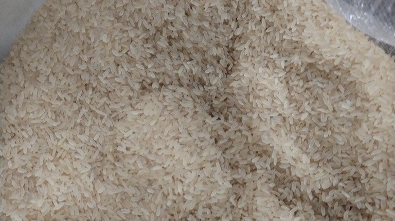 Фото: Северо-Западное межрегиональное управление Россельхознадзора