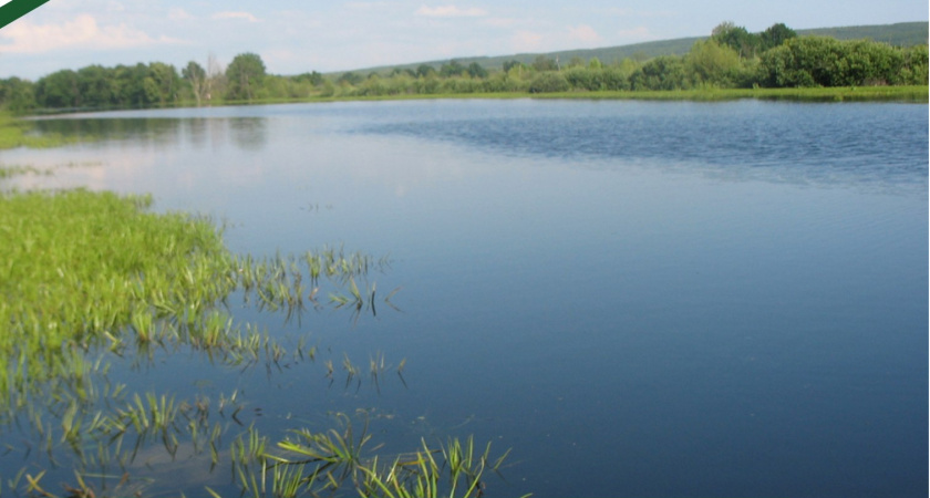 Для Пензы и Заречного ищут альтернативные источники воды