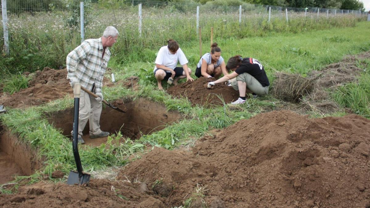 Раскопки археологов