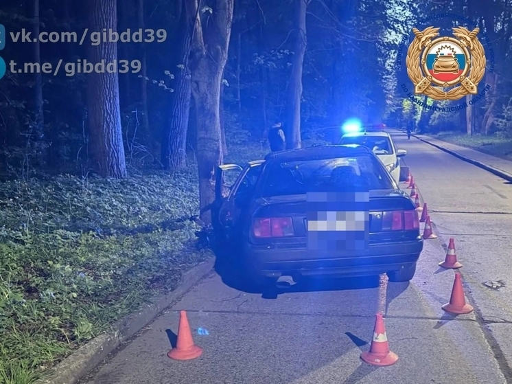 В Багратионовском районе Audi с подростками в салоне врезалась в дерево