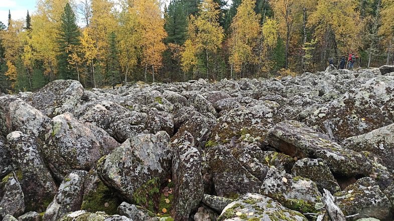 В Алтайском крае туристы смогут увидеть, как «текут» каменные реки