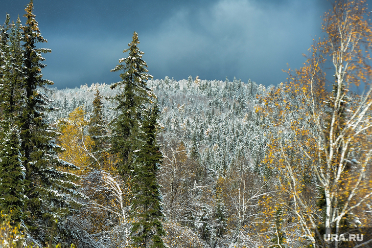 Трасса М5 Дорога Челябинск, снег, лес, природа урала, хребет уреньга