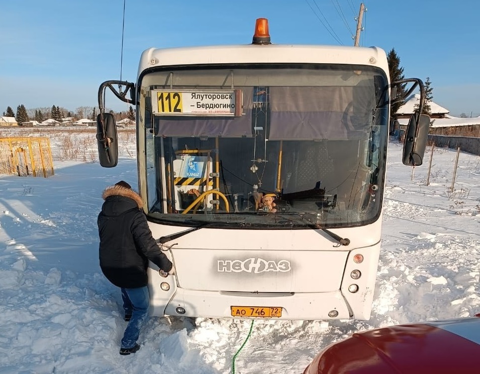 Погода в бердюгино