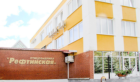Птицефабрика рефтинская картинки