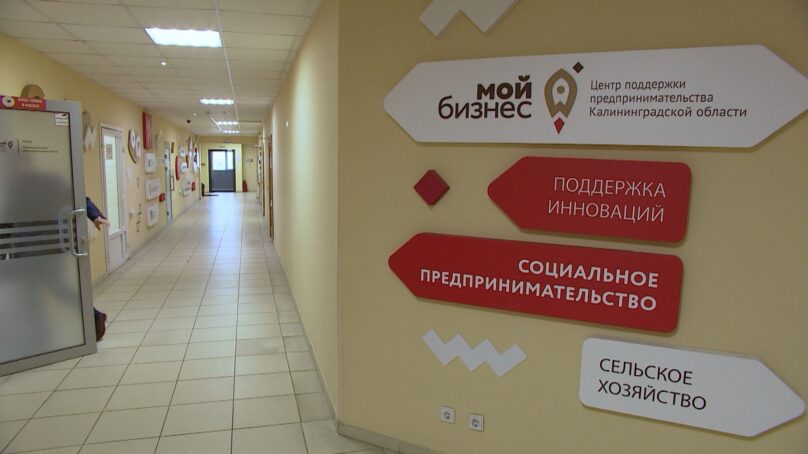 С ежегодным докладом выступила врио Уполномоченного по защите прав предпринимателей в Калининградской области