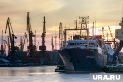 Порты «Срединного маршрута» к югу от России развиваются, НАТО пытается исключить Москву из проекта, уверены эксперты