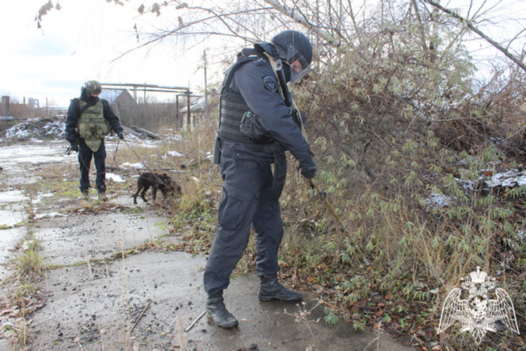 В Вологде сотрудники ОМОН «Вымпел» оттачивали мастерство тактико-специальной подготовки