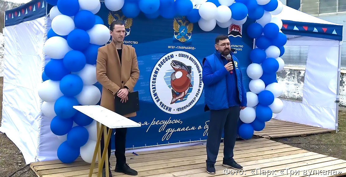 «Парк «Три вулкана» выпустил больше 4-х тысяч мальков чавычи в реки Камчатки