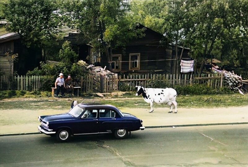 На Университетском проспекте, 1969 год. Район Раменки.