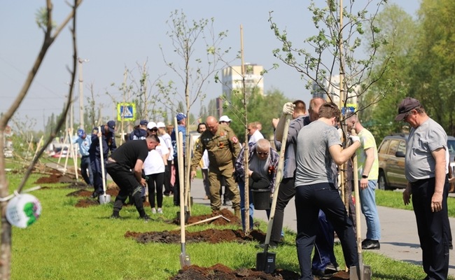 В Пензе участники акции «Сад памяти» посадили 90 деревьев у школы №80