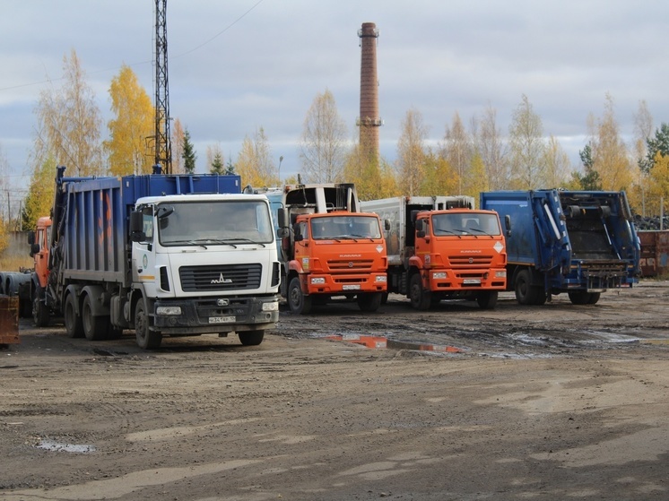 Мусоровозы освободят от штрафов за перегруз на три года