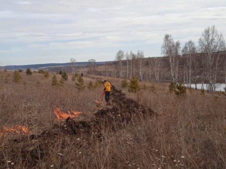  В Иркутской области за сутки ликвидировано шесть лесных пожаров