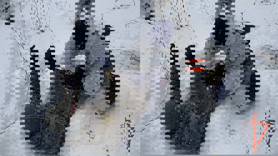 Сотрудники Росгвардии приняли участие в антитеррористических учениях в Новосибирске