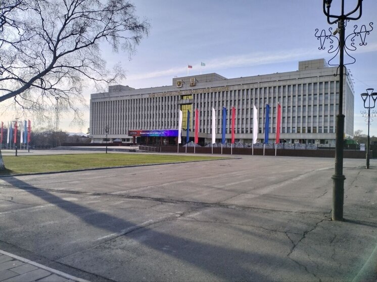 УМВД Сахалина опубликовало список предметов, которые нельзя пронести с собой на празднование Дня Победы