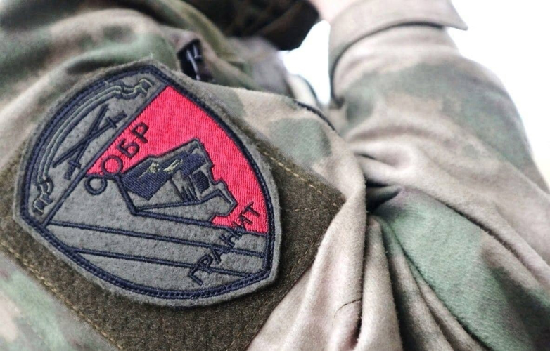 В Гатчинском районе сотрудники СОБР Росгвардии задержали правонарушителя, открывшего стрельбу по полицейскому