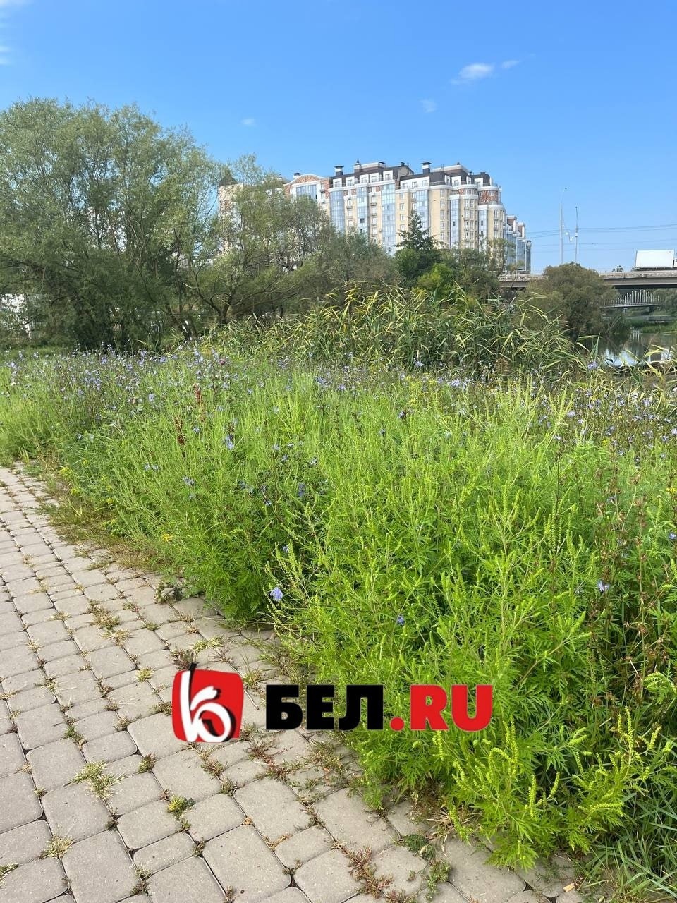 район париж в белгороде