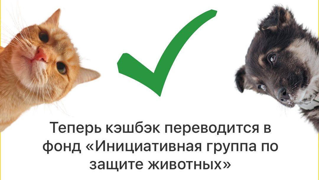 Инициативная группа защиты животных. Инициативная группа защиты животных. Группы защиты животных. Инициативная группа защиты животных тверь. Защита животных тверь.