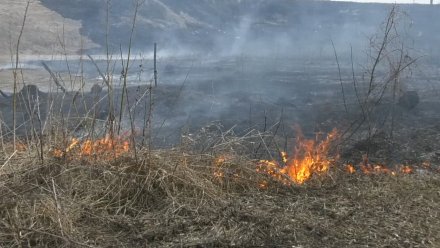 Ещё в 8 районах Воронежской области установили 3 класс пожарной опасности