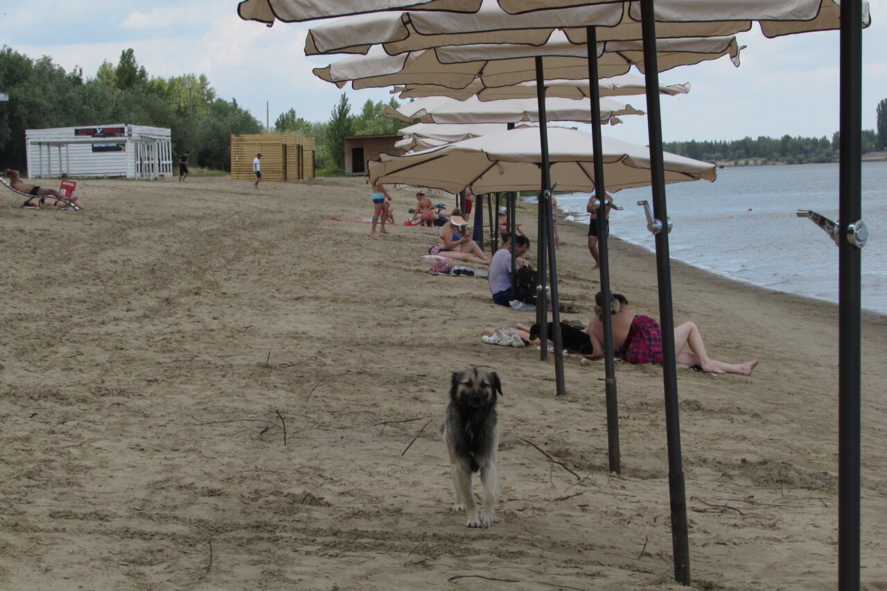 пляж комсомольский казань