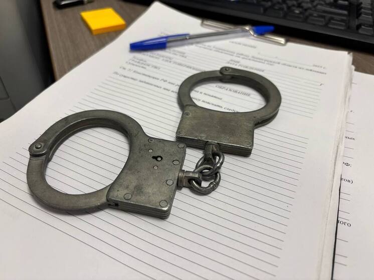 Советская полиция задержала воровку сумки с 40 тысячами