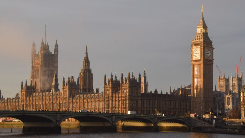 Депутат планирует пронести секс-игрушки в парламент Британии