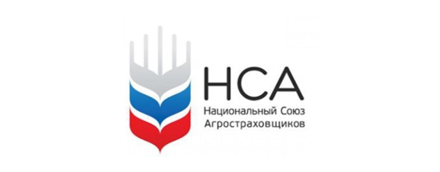 Российский национальный союз