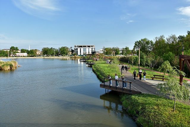3_Утиные плавни (4).JPG