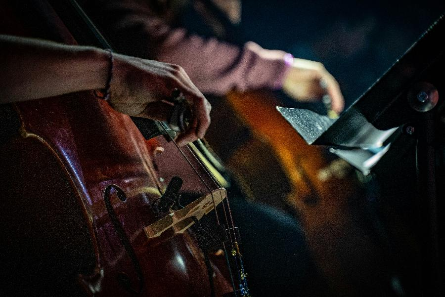 «Площадь искусств» с новой музыкой. В Петербурге проходит международный фестиваль | ФОТО Rob Simmons on Unsplash