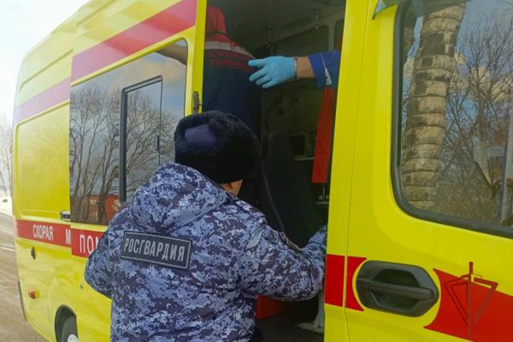Росгвардейцы в Омске пришли на помощь мужчине, упавшему на обочине дороги